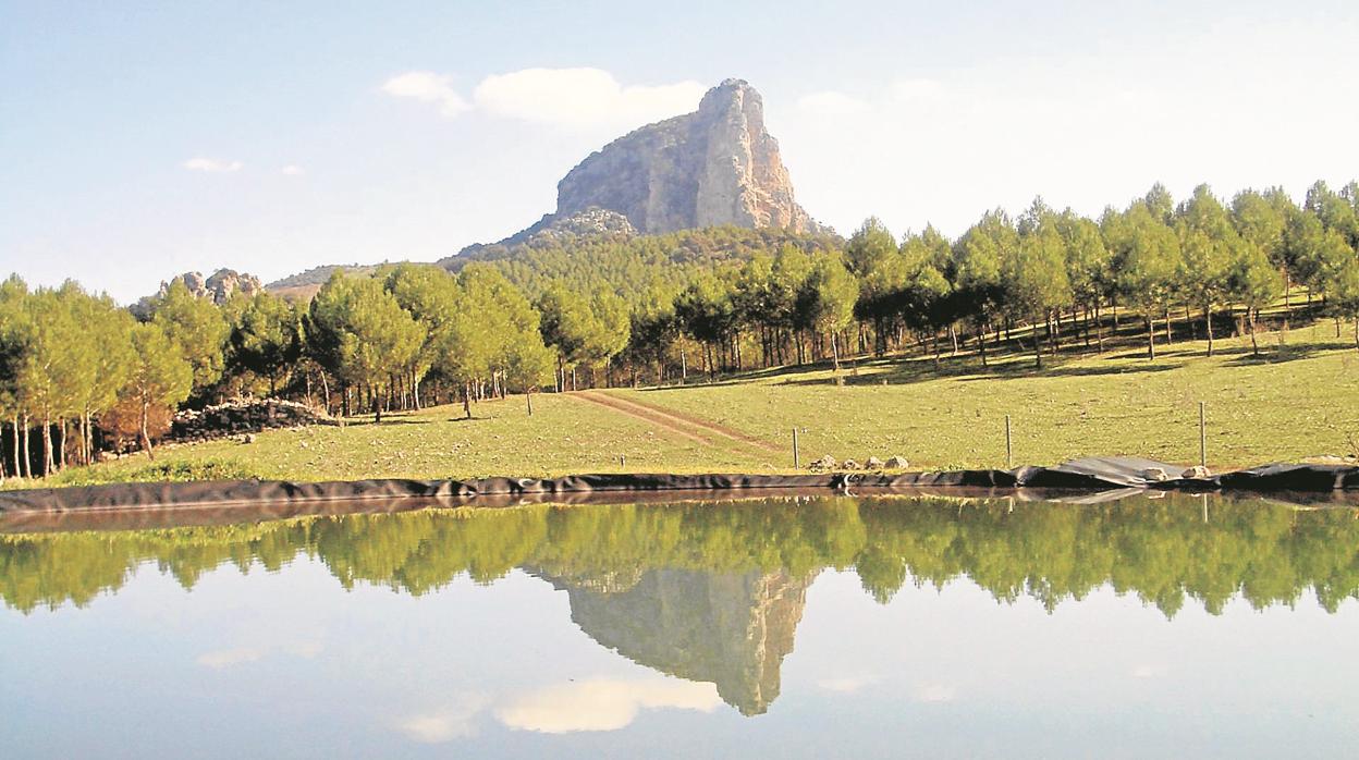 Vista del Peñón de Zaframagón en el límite de los municipios de Coripe y Olvera