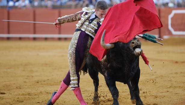 «Calerito» adelanta su regreso a España para torear en el festival de Gerena