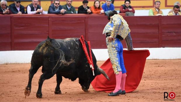 La quimera de Morante con un manso en Olivenza