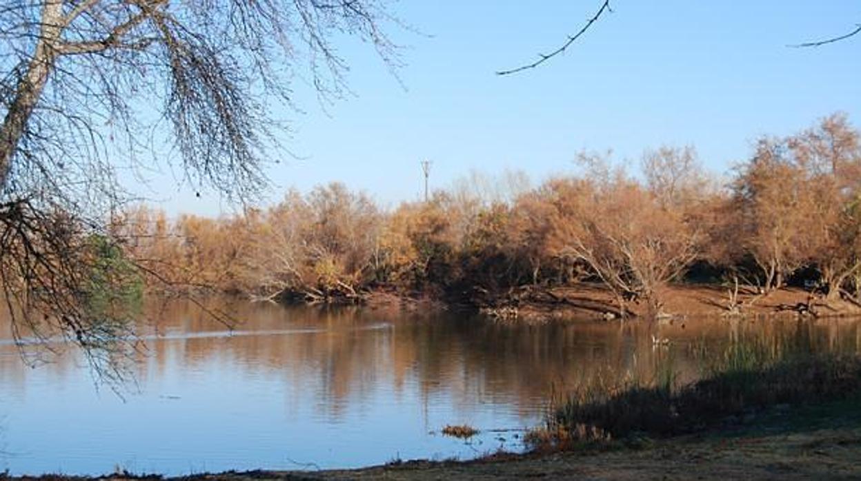 Laguna de Los Tollos