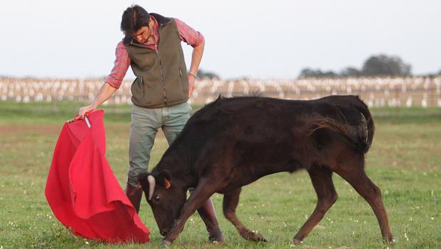 ¿Cómo es la vida rural de un torero durante la cuarentena por el coronavirus?