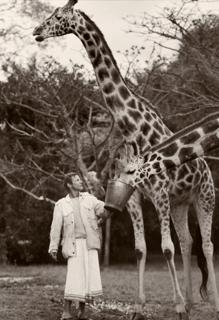 Peter Beard con jirafas, Hog Ranch, 1985