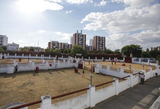 Cada grupo está asentado en un corral diferente