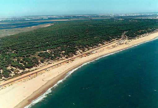 Playa de los Enebrales, Huelva