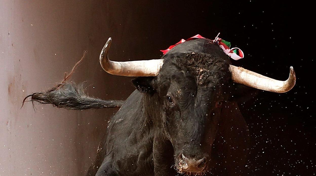 Un toro sale al ruedo de Pamplona