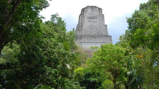 Descubren la razón por la que los mayas abandonaron la antigua ciudad de Tikal