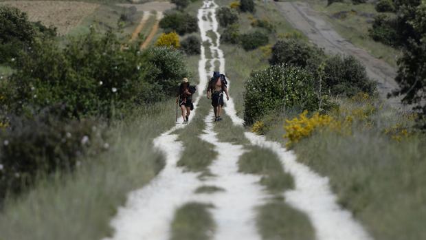 El Camino de Santiago, peregrinar hacia el amor