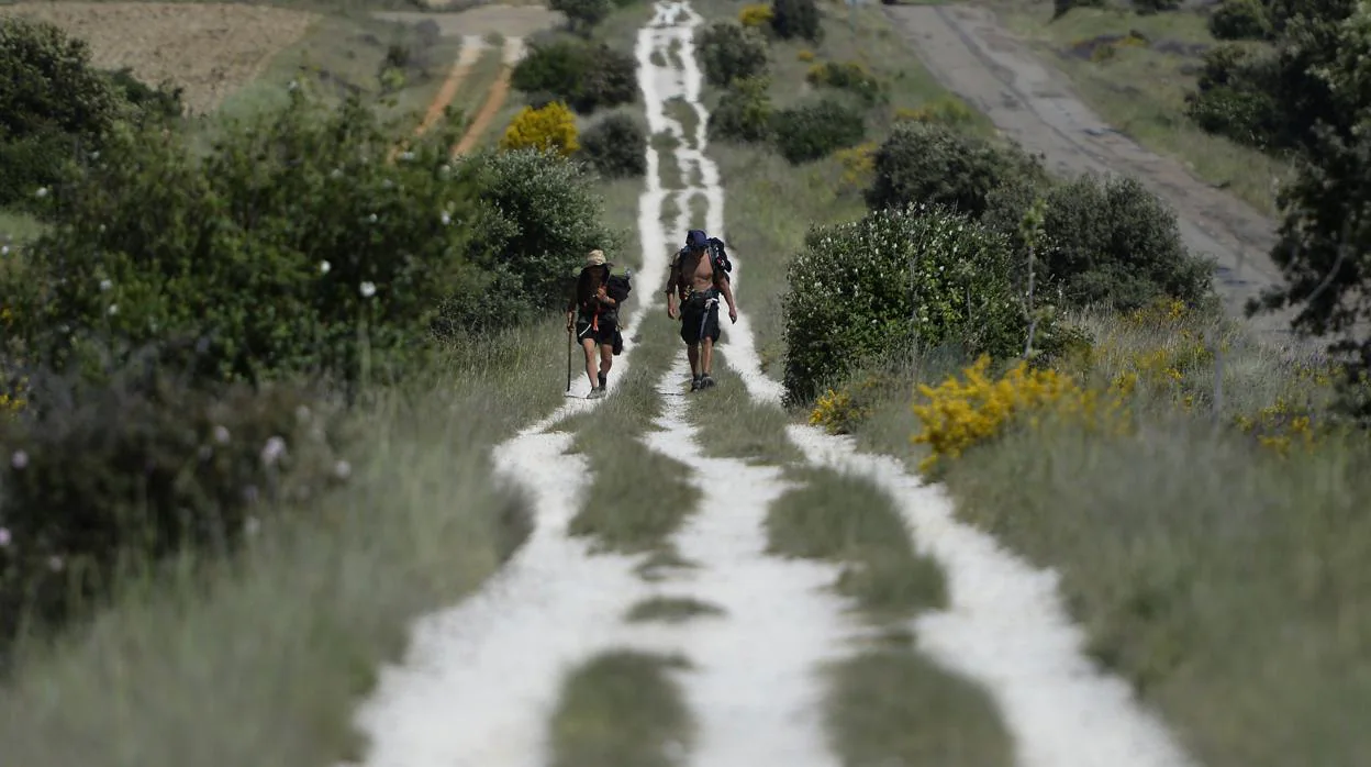 Dos peregrinos del Camino de Santiago cerca de Astorga (León)