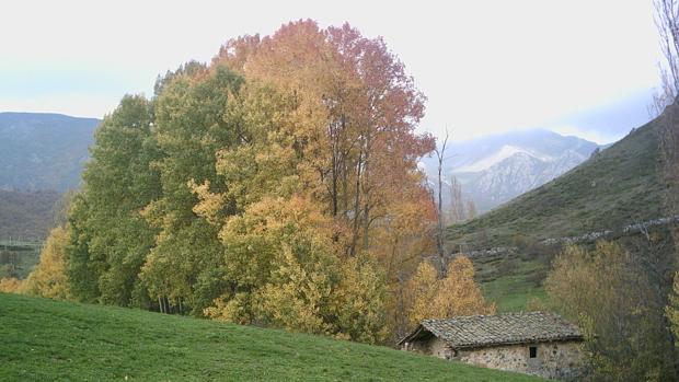 Muere un hombre tras ser embestido y pisoteado por un toro en el lago Isoba