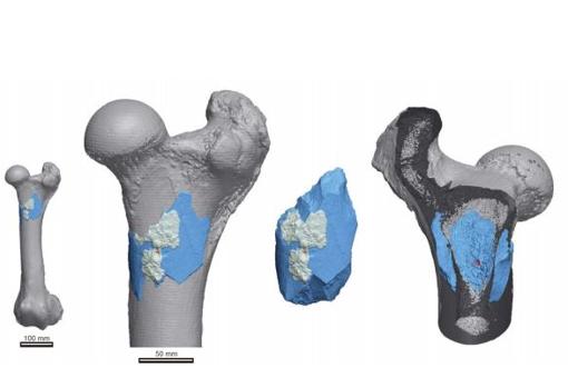 Descubren una «sofisticada» hacha realizada hace 1,4 millones de años por el Homo erectus