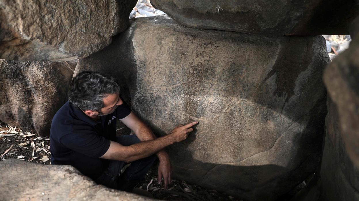 Grabados en una roca con imágenes de animales dentro de un dolmen de la Edad del Bronce en los Altos del Golán