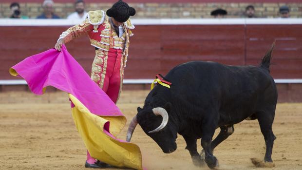 Estas son las tres ciudades españolas que celebrarán su ferias taurinas en agosto