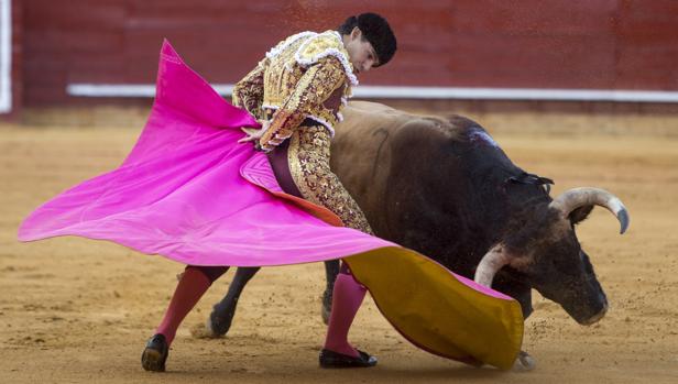 Así comienzan en agosto las corridas de la «nueva normalidad» en Andalucía