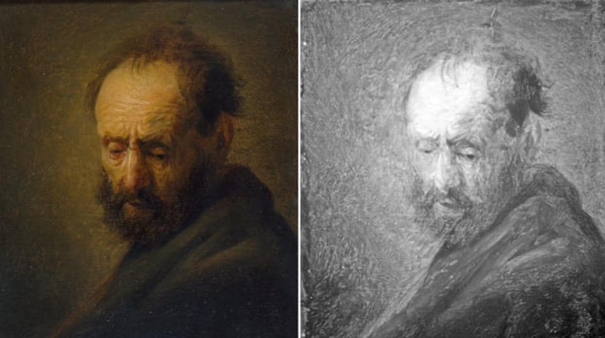 «Cabeza de un hombre barbudo» (izquierda) y análisis del cuadro con luz infrarroja