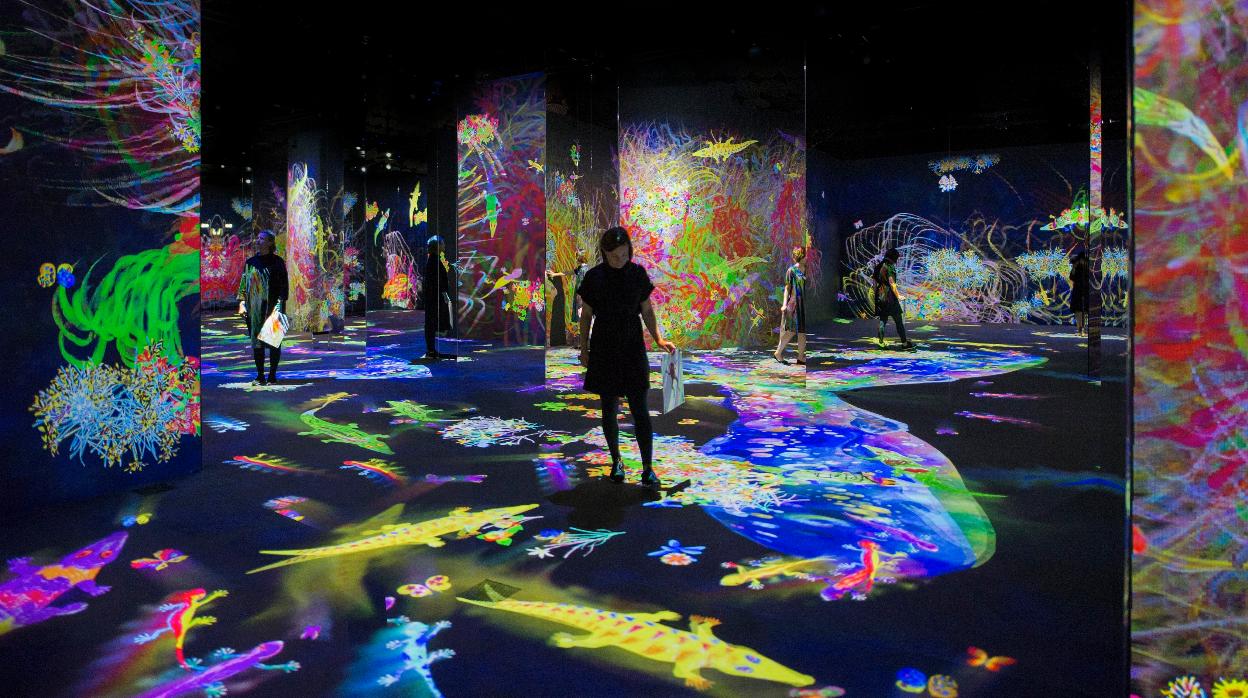 El arte digital de teamLab también estará presente en Caixaforum