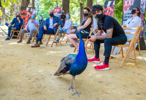 Un pavo real durante la presentación en el Alcázar