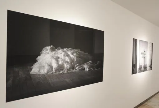Imágenes de la serie «El tiempo vencido», en la Fundación Cajasol