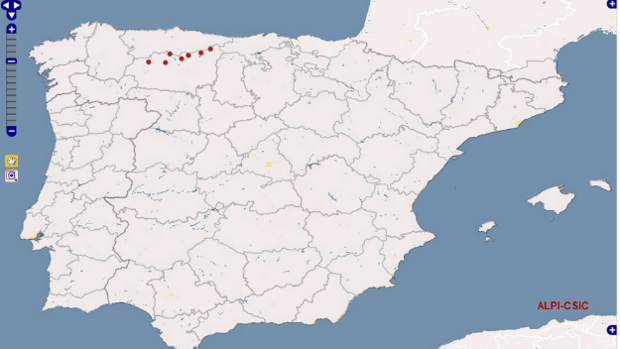 Descubre los cientos de maneras que hubo en España para decir «guisante», «mariquita» o «voltereta»