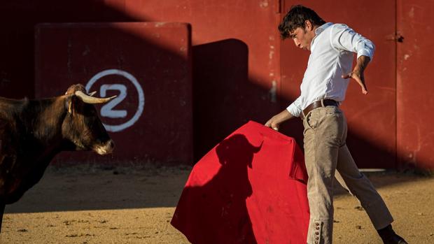 Jorge Isiegas: «Un torero aragonés en octubre sueña con el Pilar, y este año el sueño se desvanece»