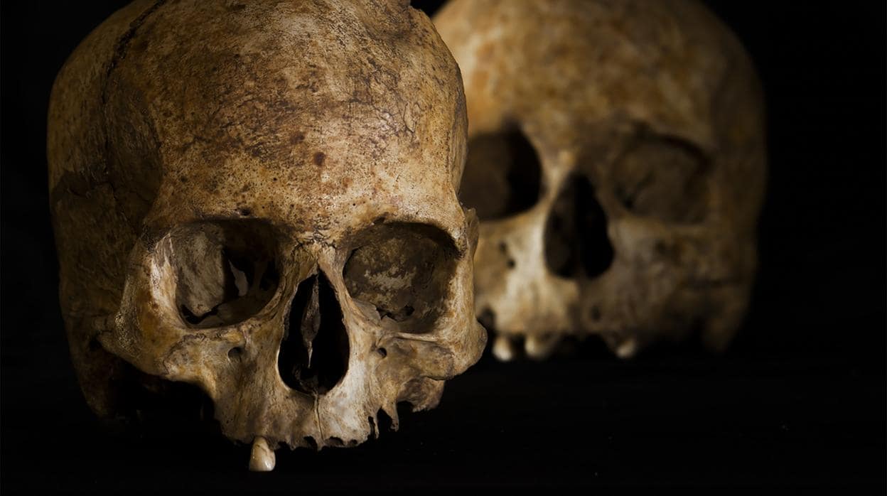 Los dos cráneos encontrados en la cueva de La Dehesilla