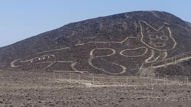 Aparece una nueva figura entre los geoglifos de Nazca: un gato de 37 metros