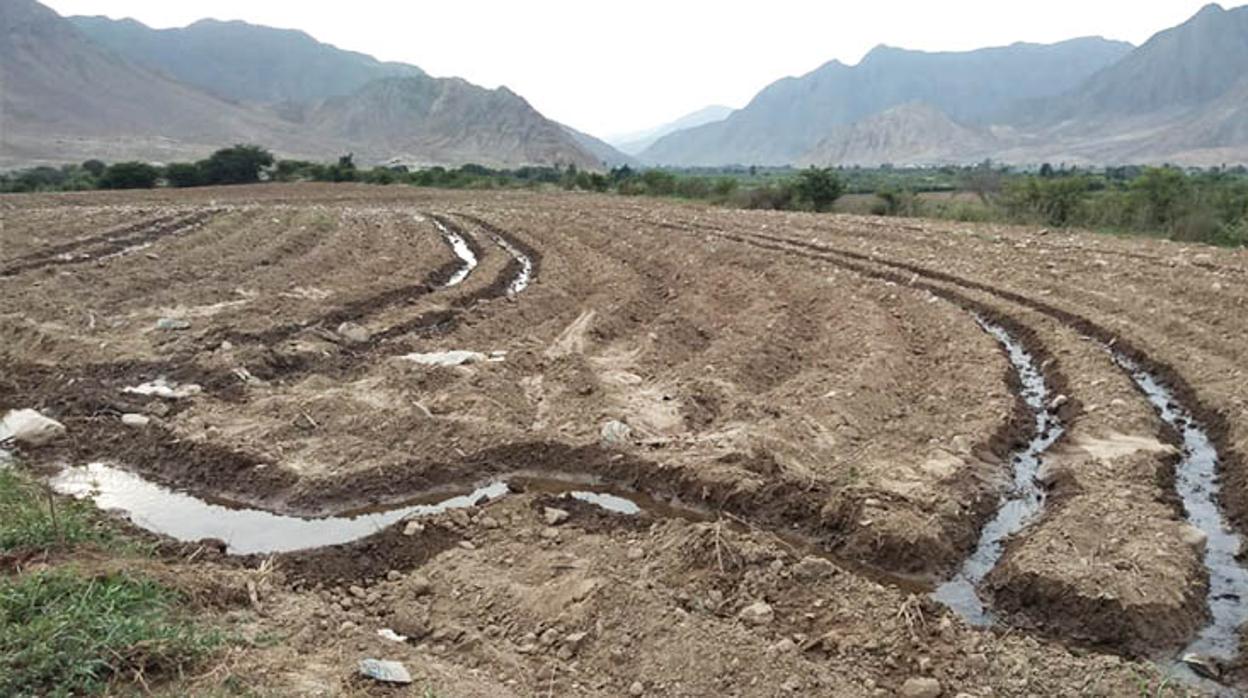 Parte de los destrozos sufridos por la ciudad de Caral, en Perú, durante el confinamiento por el coronavirus