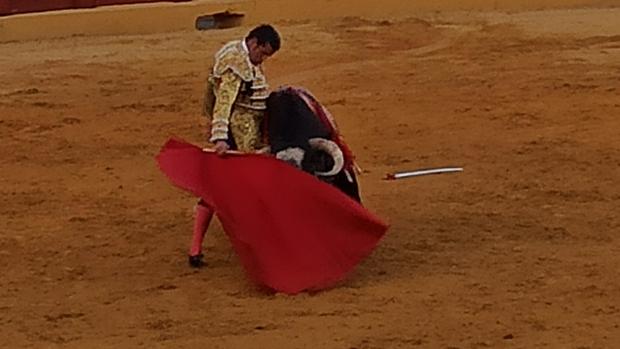 Lección de toreo de Emilio de Justo con un toro de La Quinta en Estepona