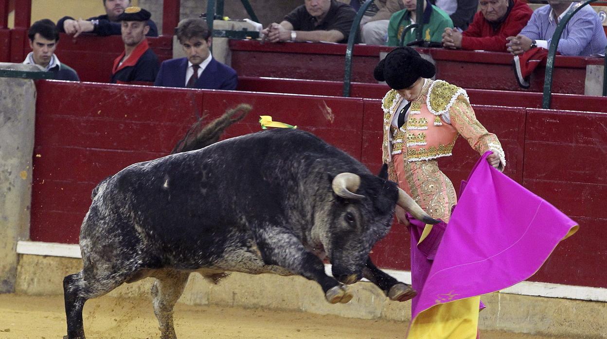 Festejos populares en Zaragoza