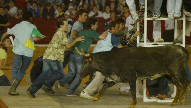 Doscientos mil euros en ayudas al ganado bravo aragonés