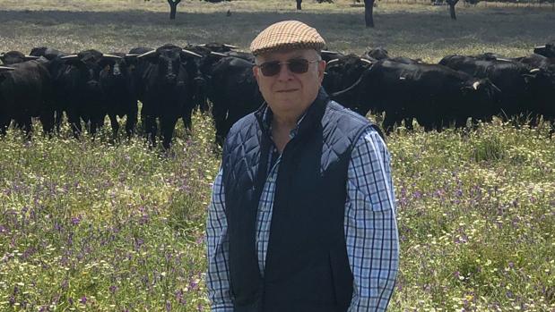 Muere por coronavirus José Luis Iniesta, ganadero del último toro al que se cortó un rabo en Madrid
