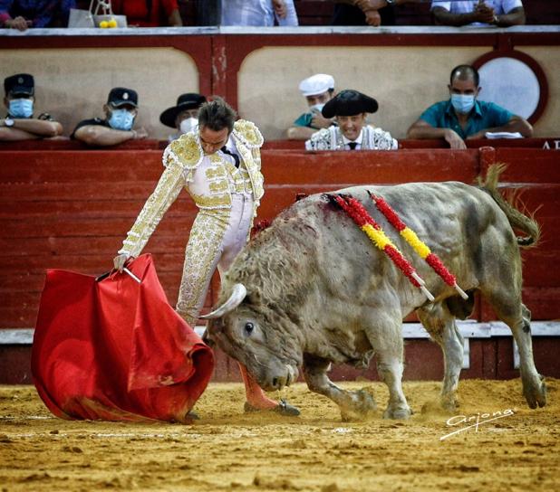 Temporada taurina 2020: de la desunión a la esperanza