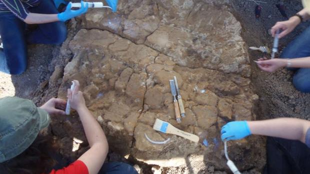 Descubren en Valencina restos «excepcionales» de una cabaña prehistórica