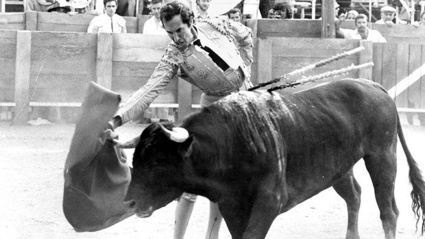 «Maestros y amigos»: de Américo Castro a Dominguín