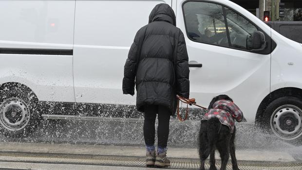 Últimas noticias y última hora de hoy domingo, 24, enero 2021 en cultura