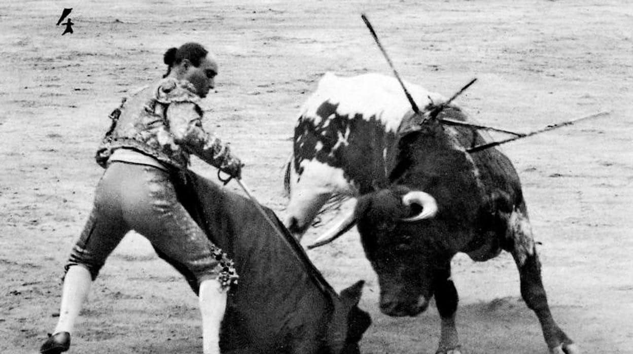 El Divino Calvo, el genial torero que mataba miuras y no preguntaba de qué ganadero era el toro