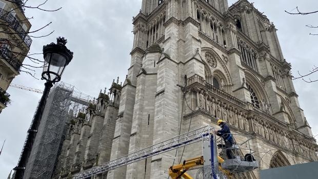 Francia busca árboles y piedras para que Notre Dame sea idéntica a la de antes del incendio