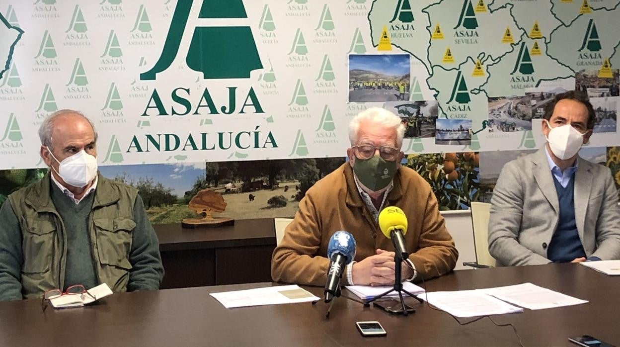 El ganadero sevillano Fernando Sampedro; el presidente de Asaja-Andalucía, Ricardo Serra; y el representante de la Plataforma del Toro Bravo Andaluz, Rafael Tejada