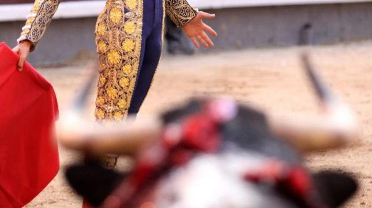 Un torero frente al toro en Las Ventas