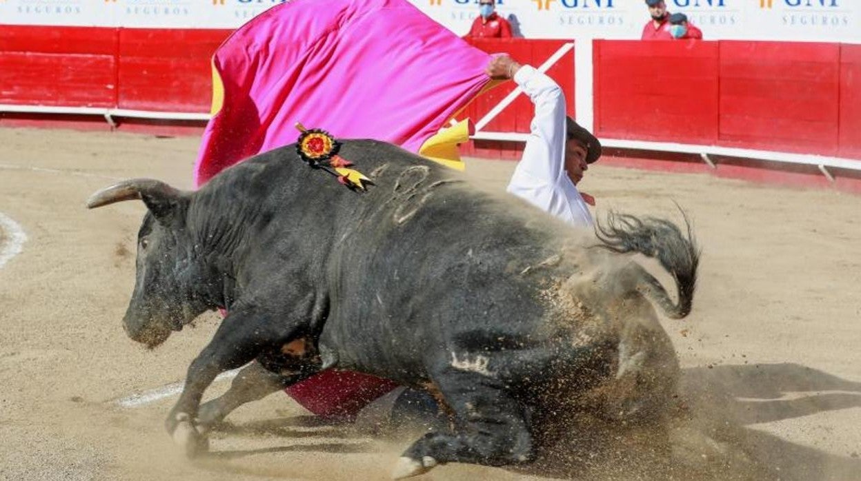 El Rifao, en un festival en el coso mexicano de León