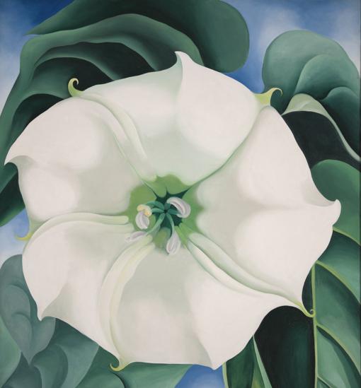 ‘Estramonio. Flor blanca nº1’, 1932. Crystal Bridges Museum of American Art, Bentonville, Arkansas