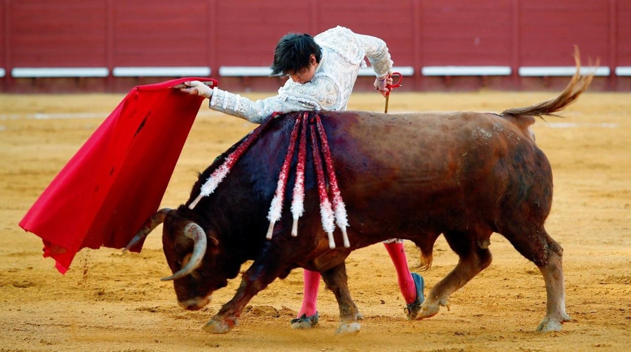 Roca Rey tenía previsto reaparecer este fin de semana en Jerez de la Frontera