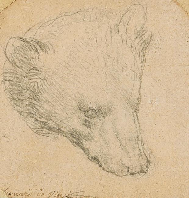 Sale a subasta uno de los últimos dibujos de Leonardo da Vinci en manos privadas