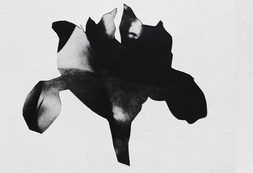 Obra de la serie 'Botanicum'