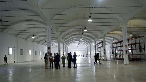 Luz verde a la obra de acondicionamiento del futuro almacén del Museo Arqueológico de Sevilla