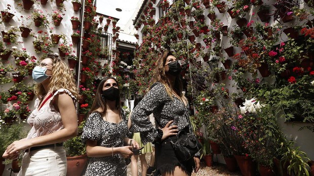 Patios de Córdoba: Tesoros en la tierra de las manos que los cuidan