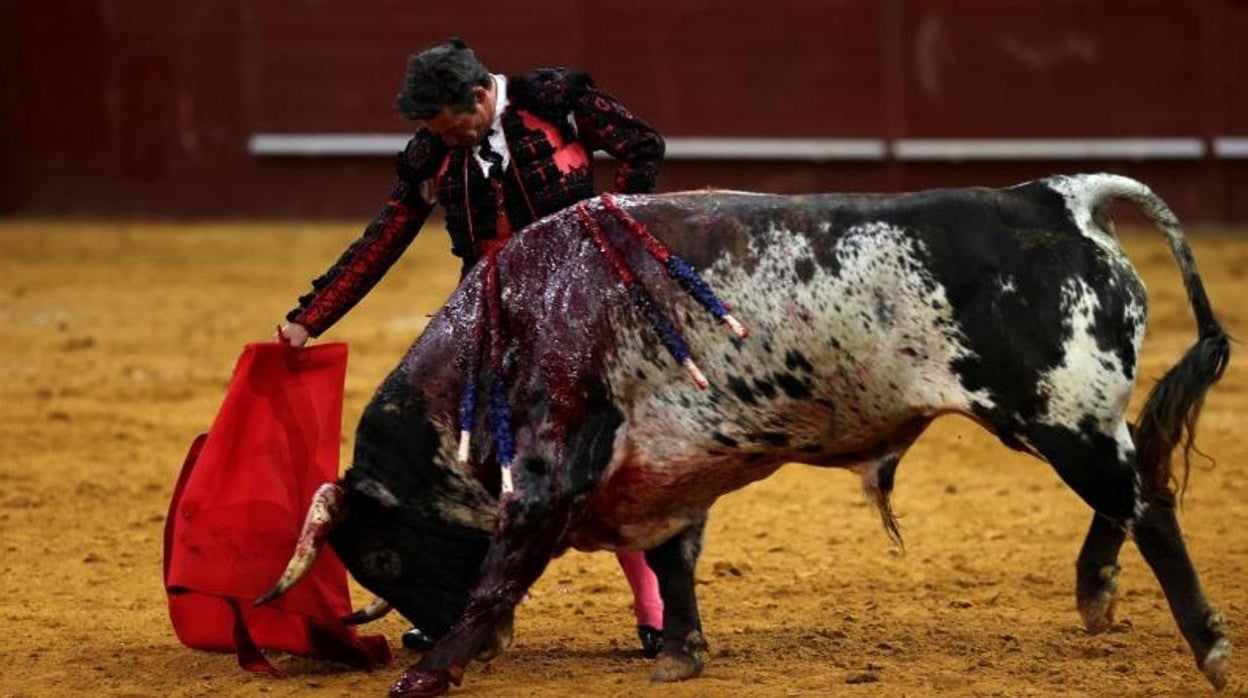 Diego Urdiales, en un derechazo con empaque y el mentón hundido