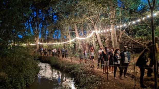 El Bosque Sonoro, el milagro de un festival pop en el claro de una olmeda junto al río Huerva