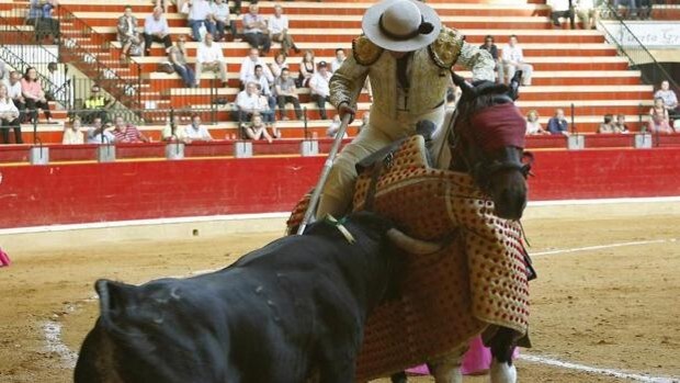 Medio millón de euros en Zaragoza para la ganadería de lidia, «un sector que contribuye a asentar población en el medio rural»