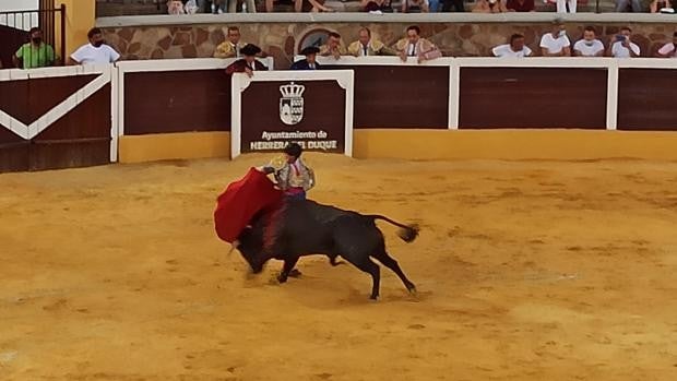 Morante y el valor del arte en el triunfal festín de Herrera del Duque