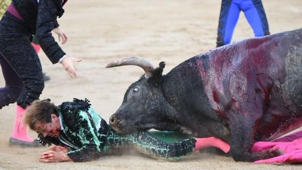 Escalofriante cogida a Javier Cortés al entrar a matar a su primer toro en Linares